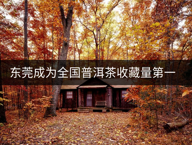 東莞成為全國普洱茶收藏量第一位的城市？