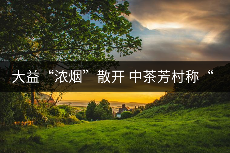 大益“濃煙”散開 中茶芳村稱“王”？