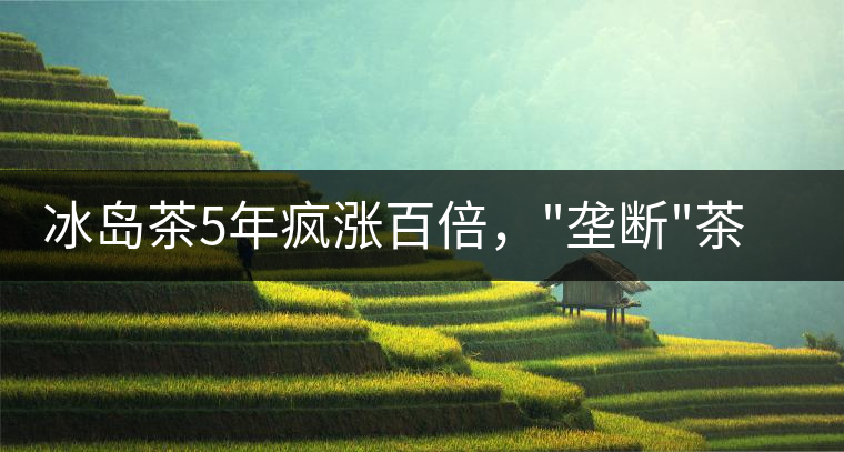 冰島茶5年瘋漲百倍，