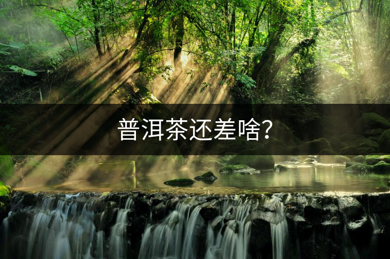 普洱茶還差啥? 普洱茶還差啥?