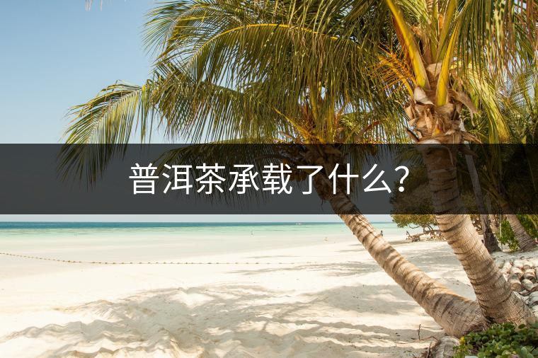 普洱茶承載了什么？