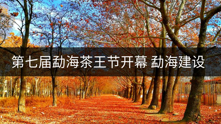 第七屆勐海茶王節(jié)開幕 勐海建設(shè)中國(guó)普洱茶第一縣