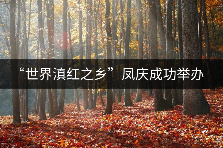 “世界滇紅之鄉(xiāng)”鳳慶成功舉辦茶文化藝術節(jié) “世界滇紅之鄉(xiāng)”鳳慶成功舉辦茶文化藝術節(jié)