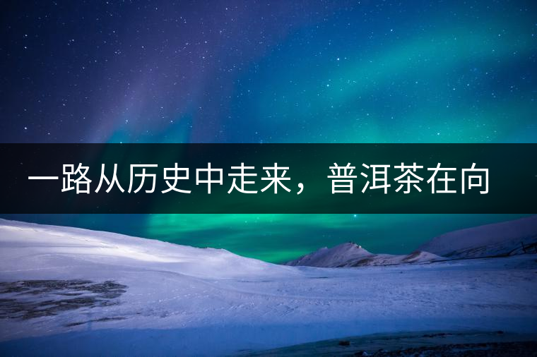 一路從歷史中走來，普洱茶在向我們訴說著什么？