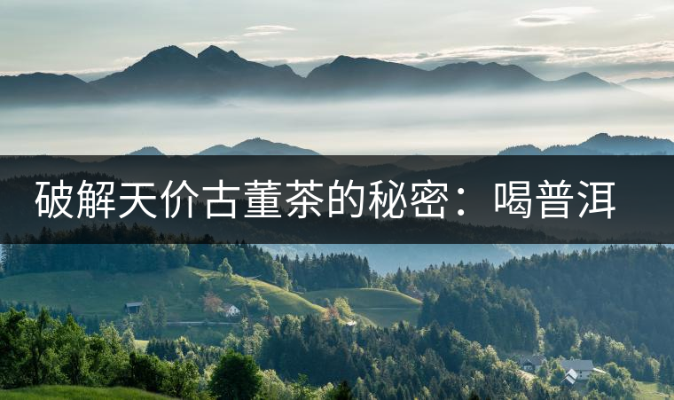 破解天價古董茶的秘密：喝普洱茶成了喝故事，喝包裝紙