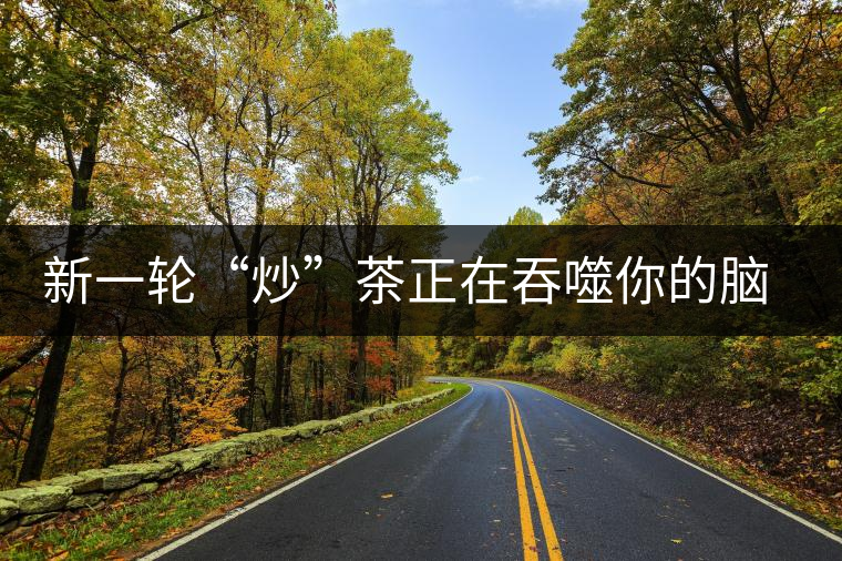 新一輪“炒”茶正在吞噬你的腦子，茶葉收藏不宜提倡