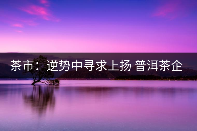 茶市：逆勢(shì)中尋求上揚(yáng) 普洱茶企靠什么打贏這場(chǎng)翻身仗？