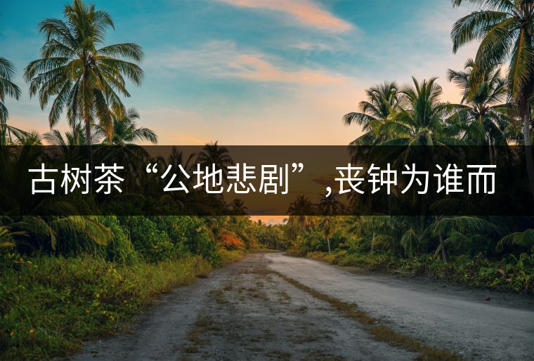 古樹茶“公地悲劇”,喪鐘為誰而鳴！