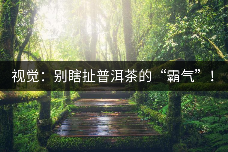 視覺：別瞎扯普洱茶的“霸氣”！偽大師！