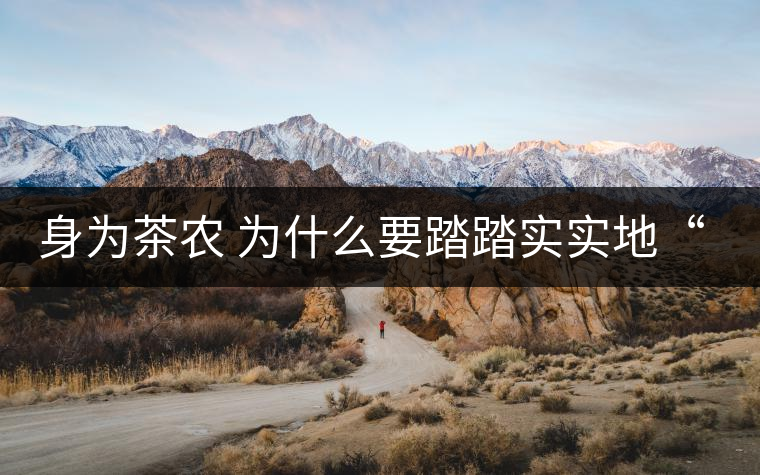 身為茶農(nóng) 為什么要踏踏實實地“放毒”！