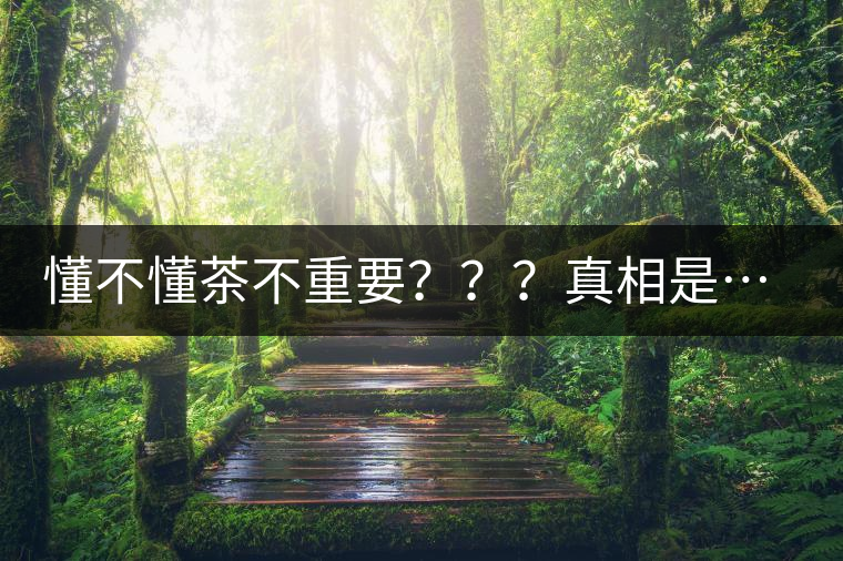 懂不懂茶不重要？？？真相是……