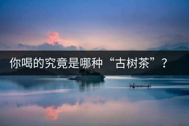 你喝的究竟是哪種“古樹茶”？（收茶必備知識）