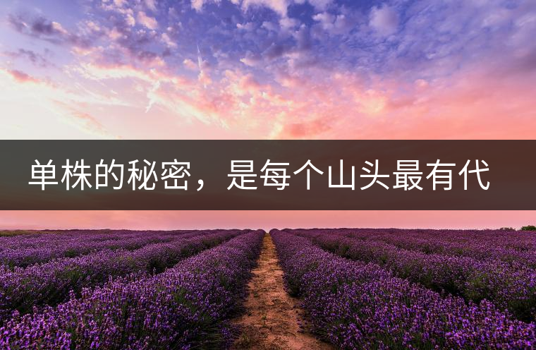 單株的秘密，是每個(gè)山頭最有代表性的味道？