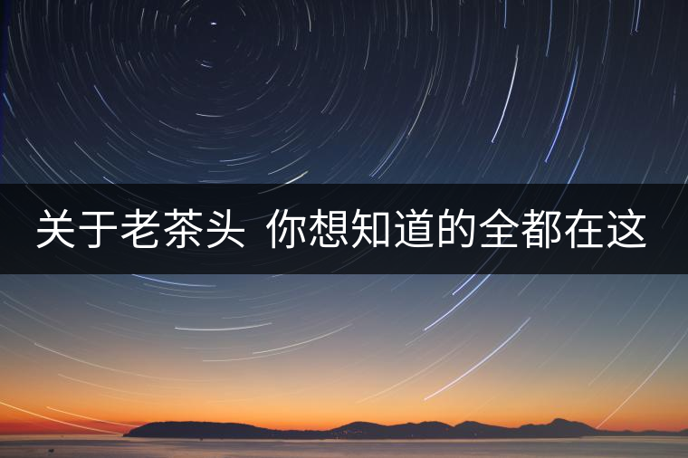 關(guān)于老茶頭  你想知道的全都在這兒啦！