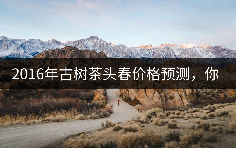 2016年古樹茶頭春價(jià)格預(yù)測(cè)，你怎么看？