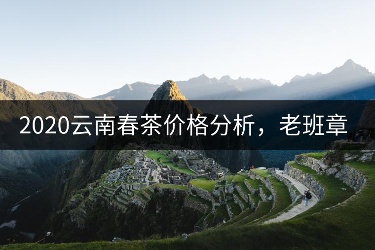 2020云南春茶價格分析，老班章依然將獨(dú)占鰲頭？