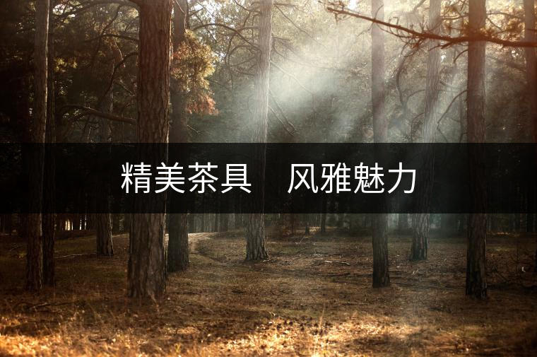 精美茶具　風雅魅力