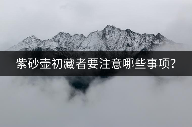 紫砂壺初藏者要注意哪些事項(xiàng)？