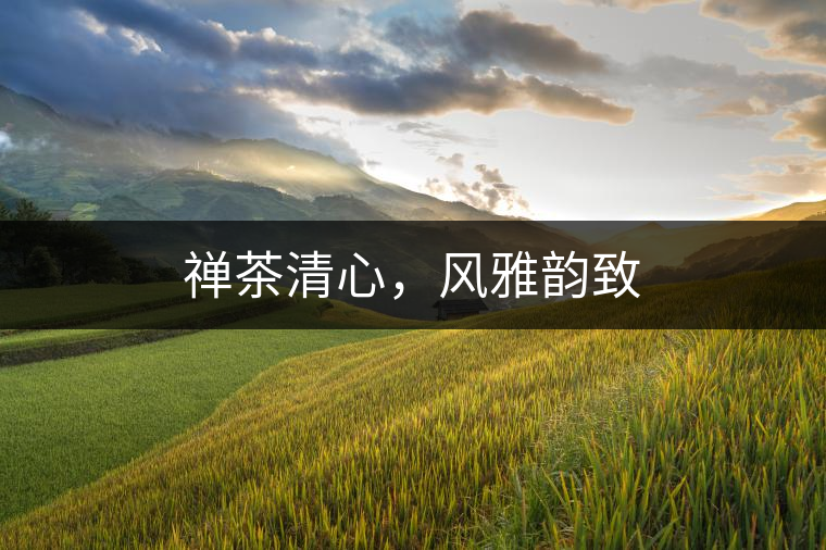 禪茶清心，風雅韻致
