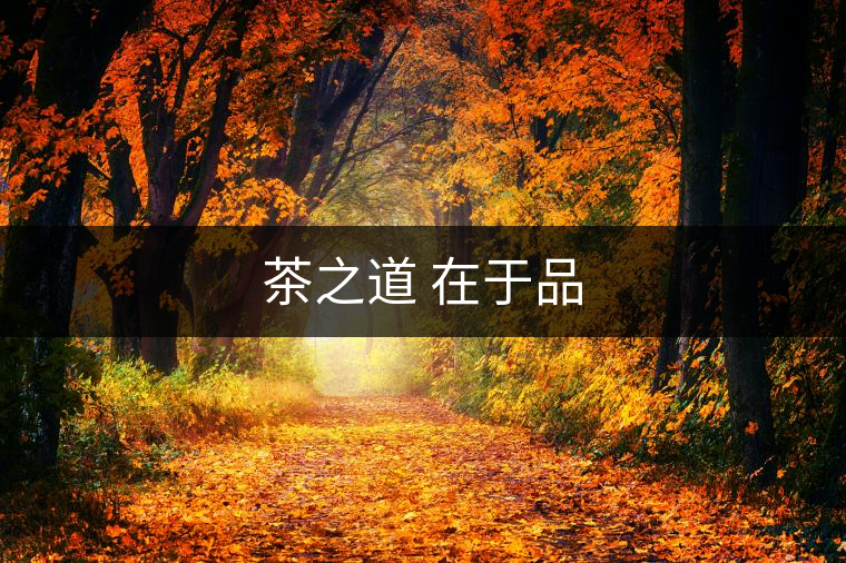 茶之道 在于品 茶之道 在于品