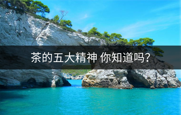 茶的五大精神 你知道嗎？
