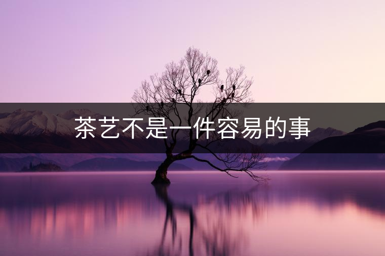 茶藝不是一件容易的事 茶藝不是一件容易的事