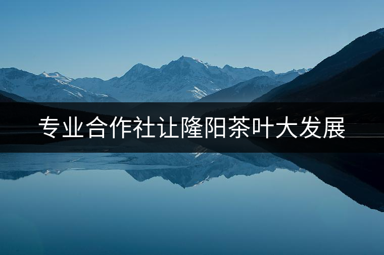 專業(yè)合作社讓隆陽茶葉大發(fā)展 專業(yè)合作社讓隆陽茶葉大發(fā)展