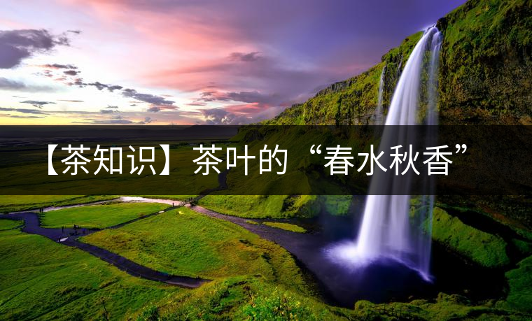 【茶知識(shí)】茶葉的“春水秋香”你知道嗎？