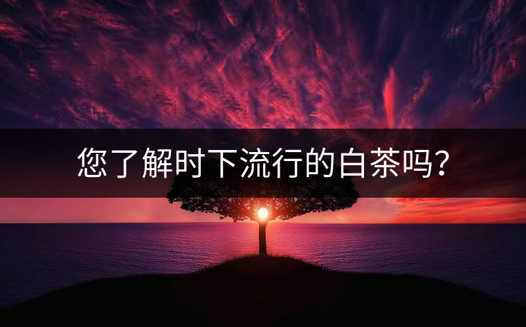 您了解時(shí)下流行的白茶嗎？