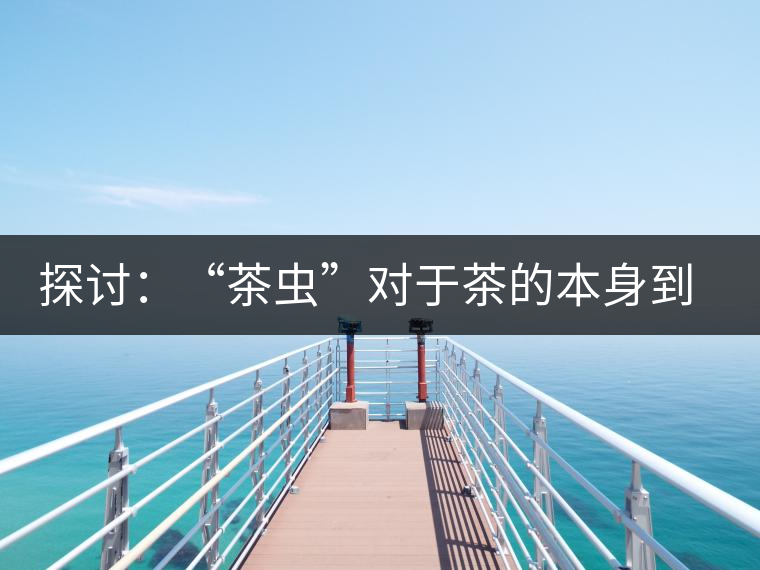 探討：“茶蟲”對于茶的本身到底是好是壞？