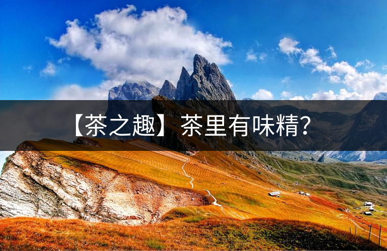 【茶之趣】茶里有味精？