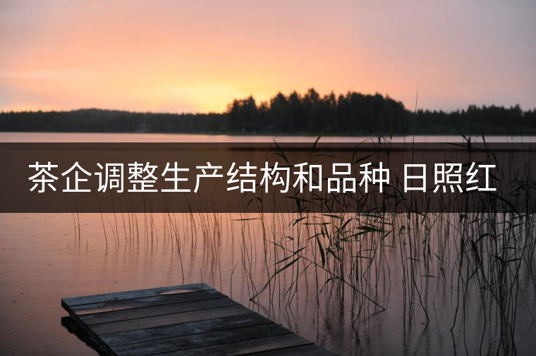 茶企調(diào)整生產(chǎn)結構和品種 日照紅茶產(chǎn)量銷量齊看漲 茶企調(diào)整生產(chǎn)結構和品種 日照紅茶產(chǎn)量銷量齊看漲