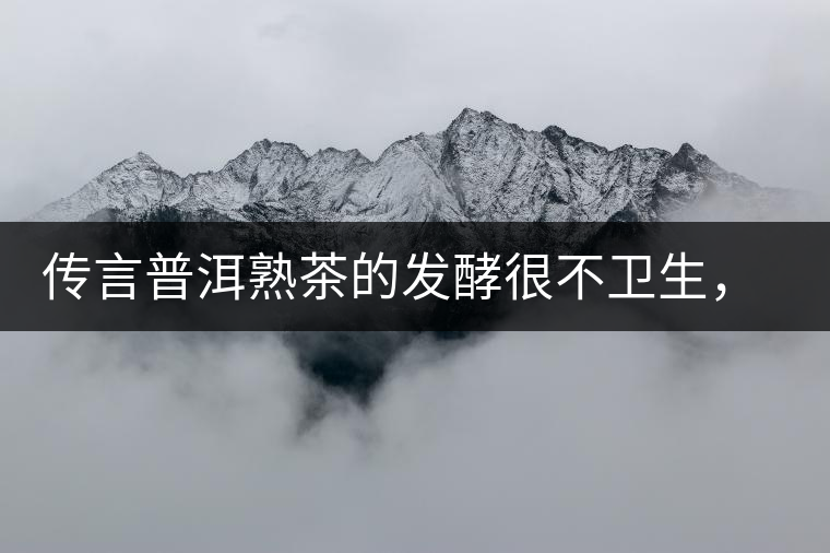 傳言普洱熟茶的發(fā)酵很不衛(wèi)生，是真的嗎？