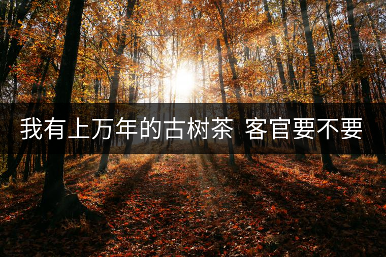 我有上萬年的古樹茶  客官要不要嘗嘗？