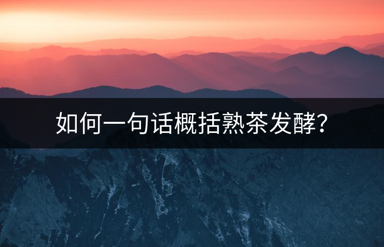 如何一句話概括熟茶發(fā)酵？