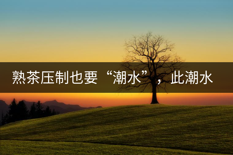 熟茶壓制也要“潮水”，此潮水的目的是什么？