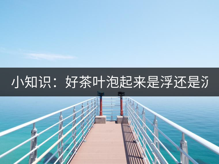 小知識：好茶葉泡起來是浮還是沉？