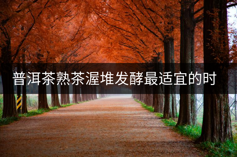 普洱茶熟茶渥堆發(fā)酵最適宜的時(shí)期是什么時(shí)候？