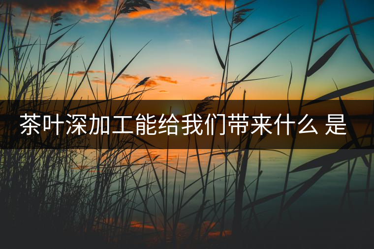 茶葉深加工能給我們帶來(lái)什么 是利還是弊呢？