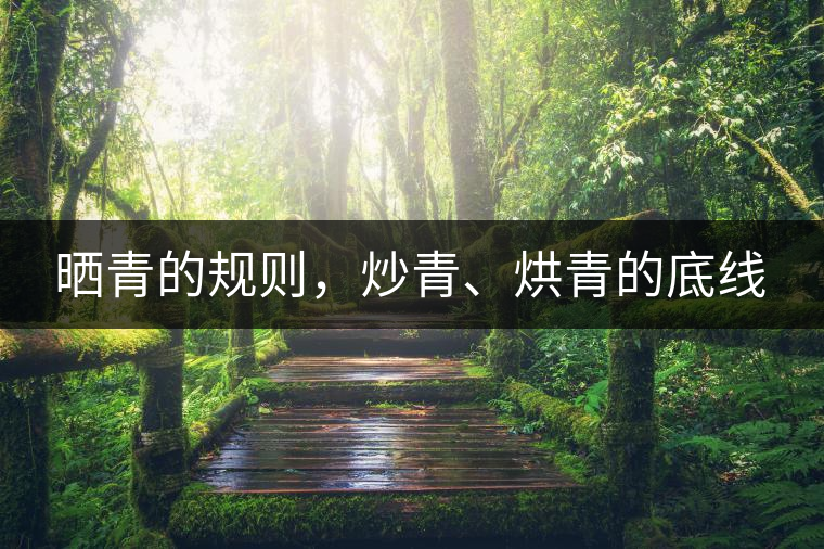 曬青的規(guī)則，炒青、烘青的底線(xiàn)