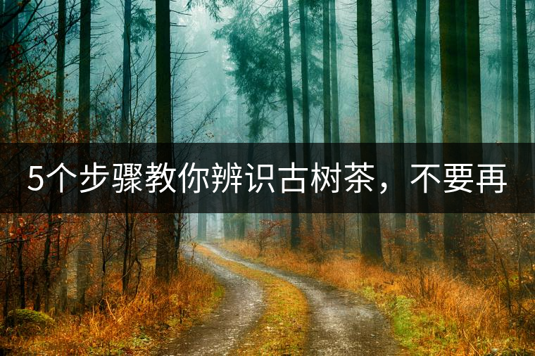 5個步驟教你辨識古樹茶，不要再被騙了！