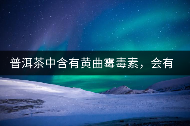 普洱茶中含有黃曲霉毒素，會(huì)有致癌的危險(xiǎn)？終于有明確的答案了