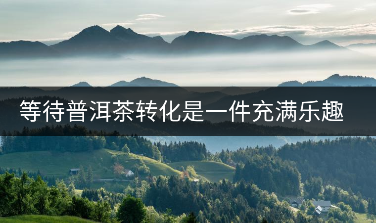 等待普洱茶轉化是一件充滿樂趣的事