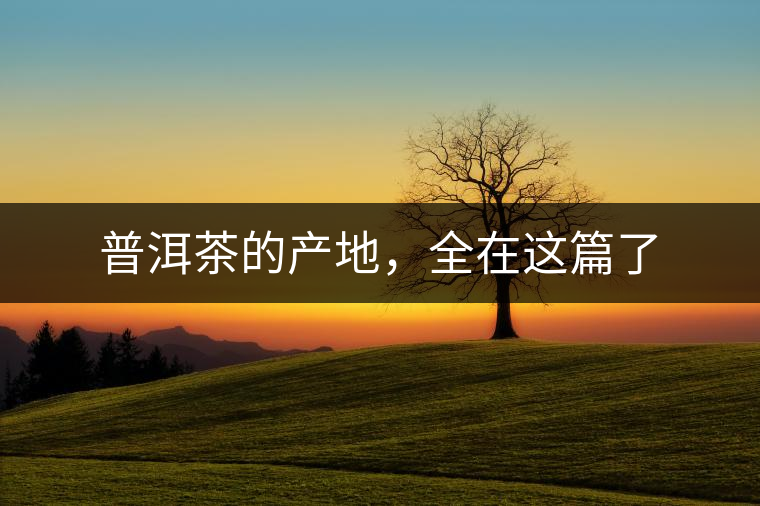 普洱茶的產(chǎn)地，全在這篇了