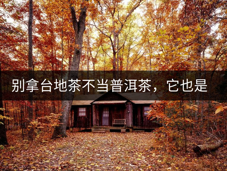 別拿臺地茶不當(dāng)普洱茶，它也是大葉種喬木