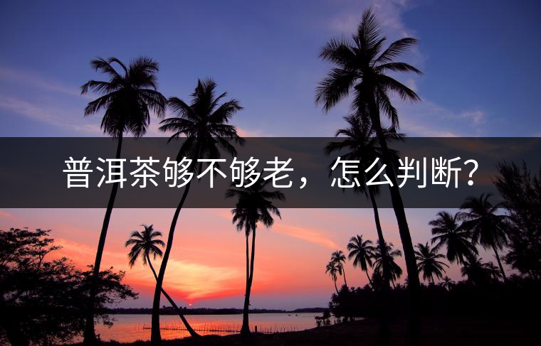 普洱茶夠不夠老，怎么判斷？