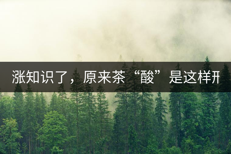 漲知識了，原來茶“酸”是這樣形成的！