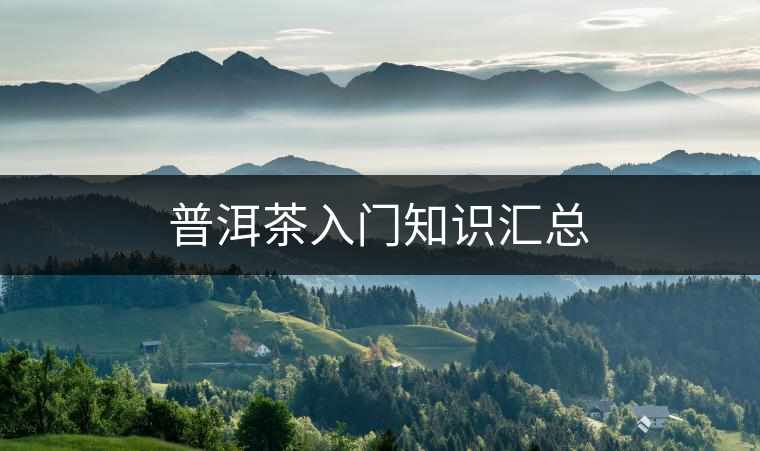 普洱茶入門(mén)知識(shí)匯總