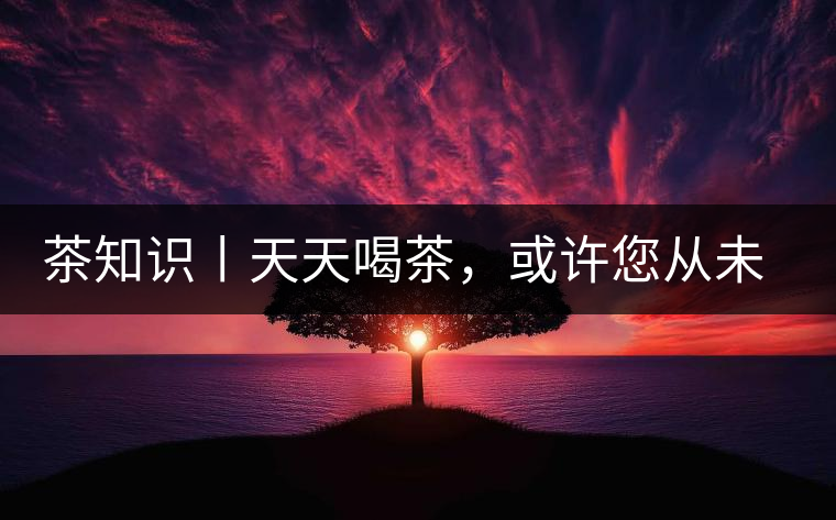 茶知識丨天天喝茶，或許您從未注意過茶樹花