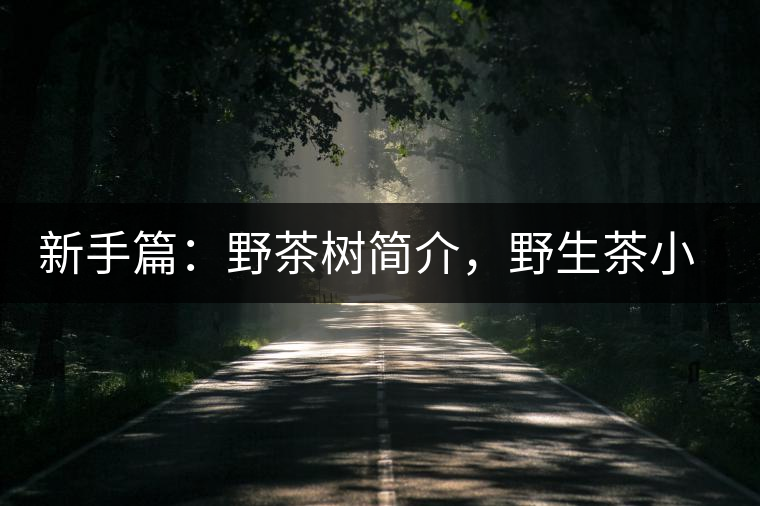 新手篇：野茶樹簡介，野生茶小知識